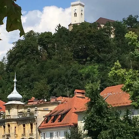 Julija & Filip Любляна